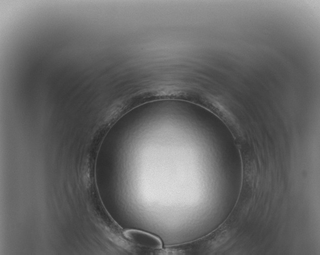 X0000068310261200604281743