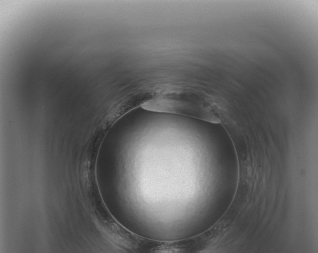 X0000068310263200604281743