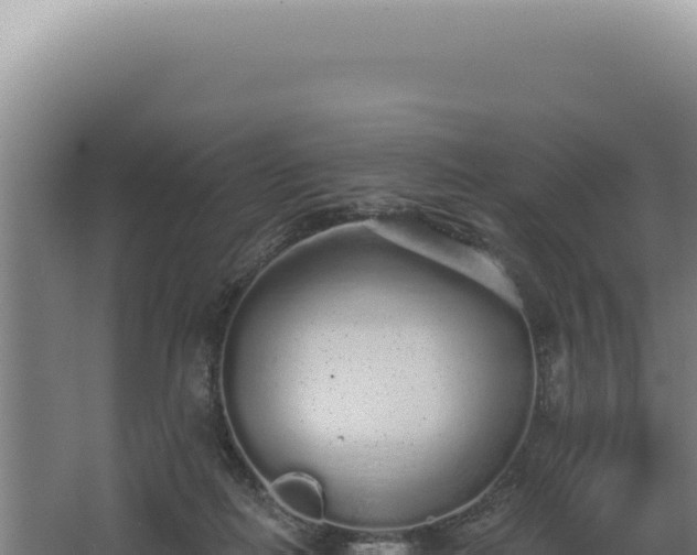 X0000068310266200604281743