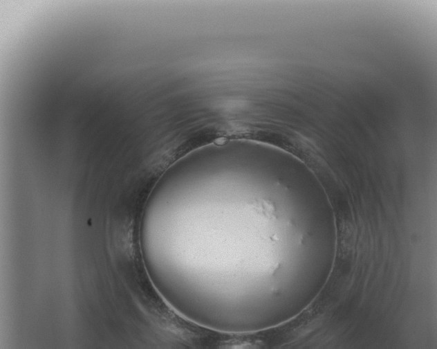 X0000068310267200604281743