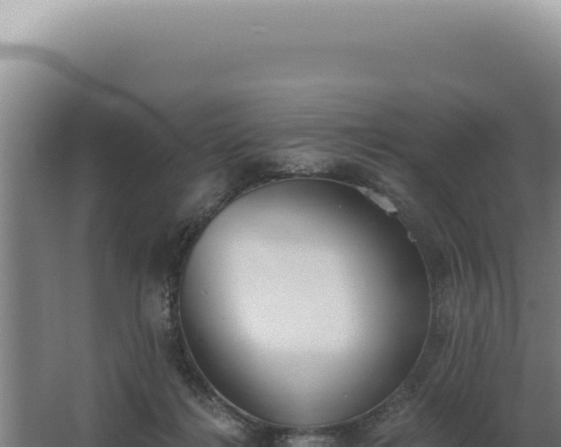 X0000068310268200604281743