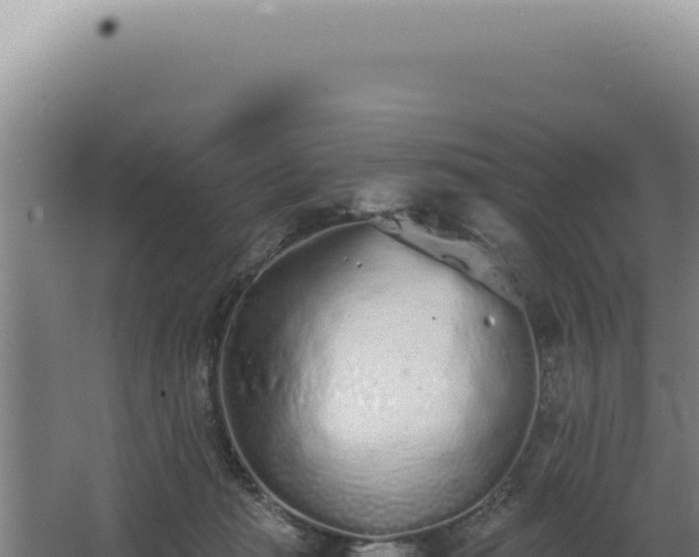 X0000068310269200604281743