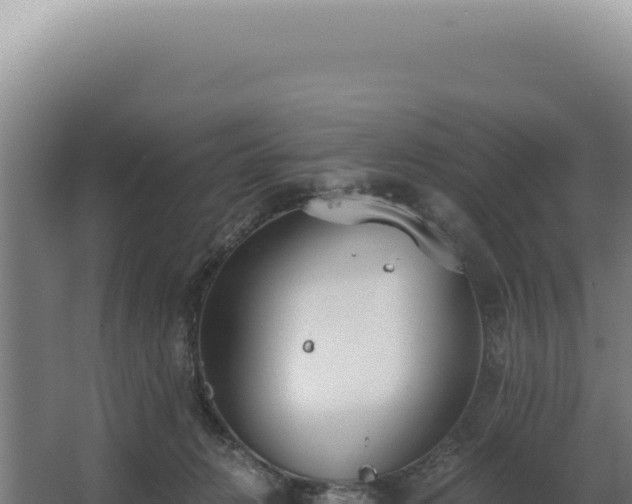 X0000068310270200604281743