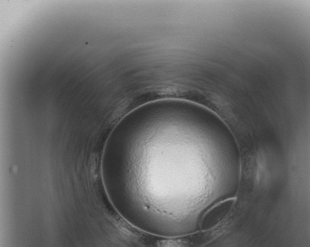 X0000068310273200604281743