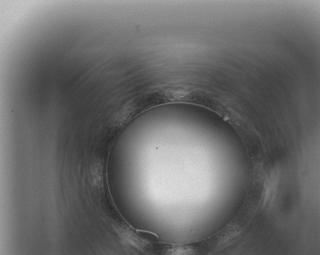 X0000068310274200604281743