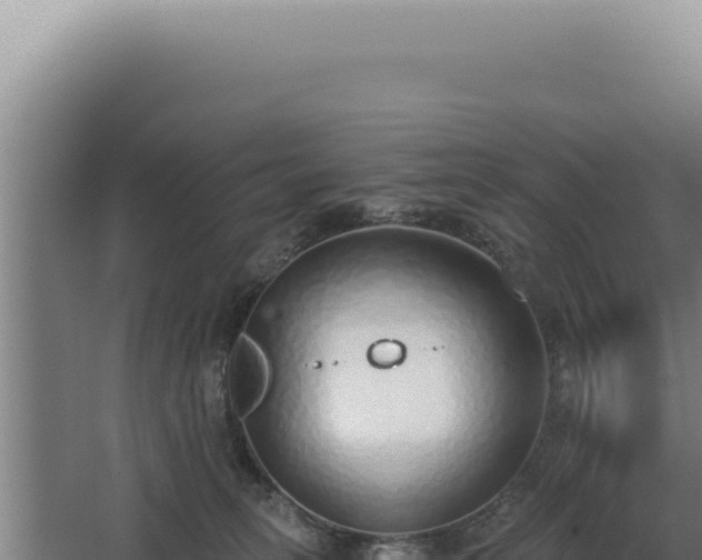 X0000068310275200604281743