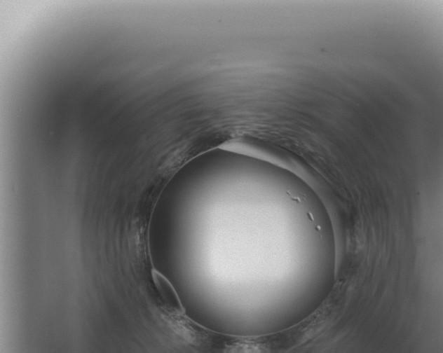 X0000068310276200604281743