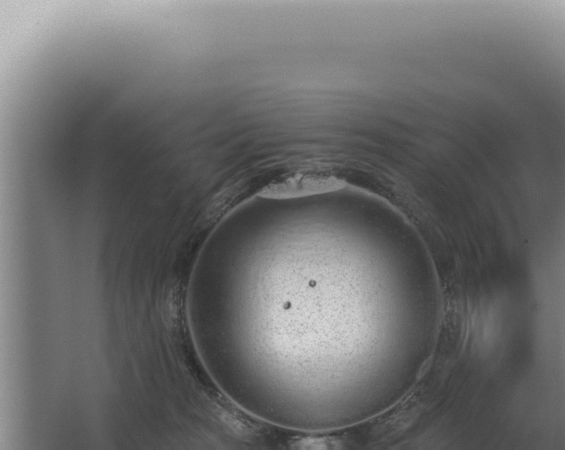 X0000068310277200604281743