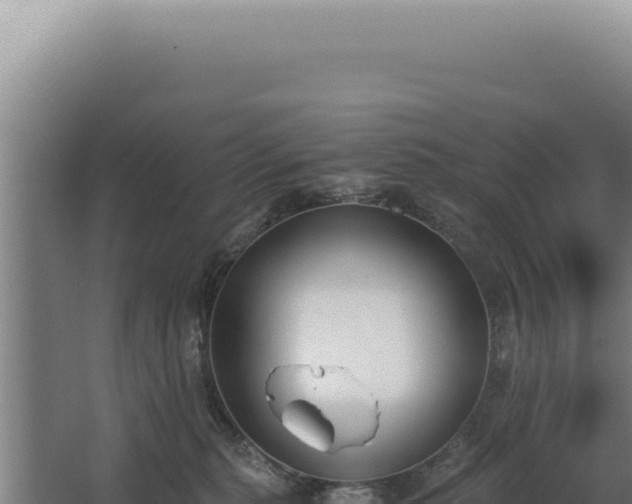 X0000068310279200604281743