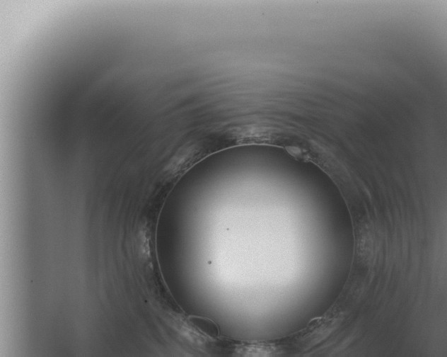 X0000068310282200604281743