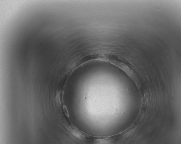 X0000068310286200604281743