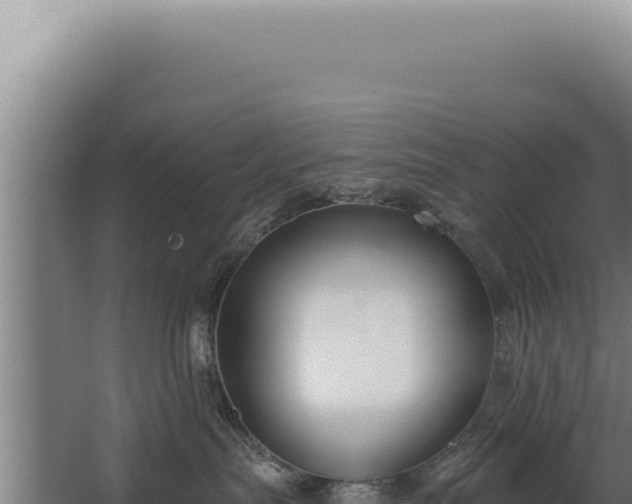 X0000068310287200604281743