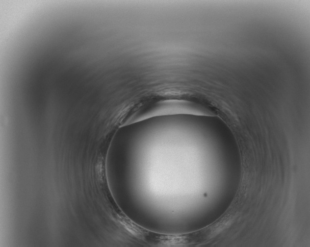 X0000068310288200604281743