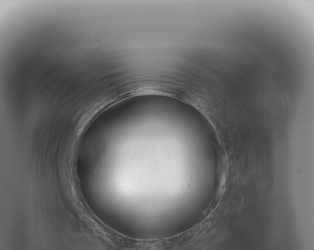 X0000068310289200604281743