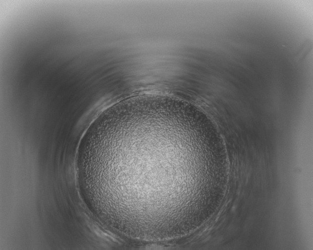 X0000068310290200604281743