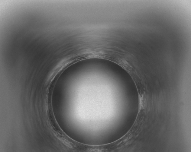 X0000068310291200604281743