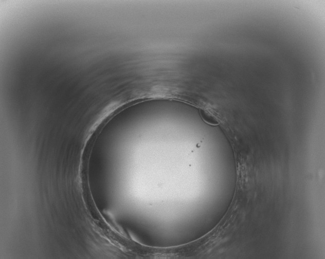 X0000068310292200604281743