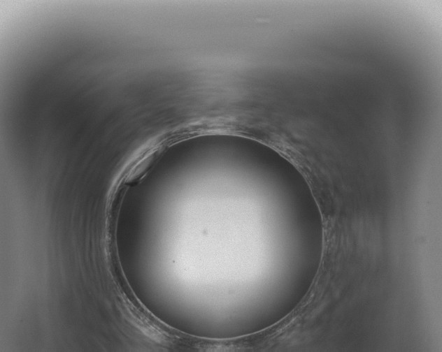 X0000068310293200604281743