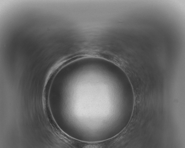 X0000068310294200604281742