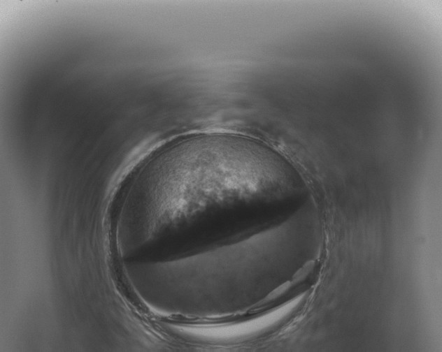 X0000068310295200604281742