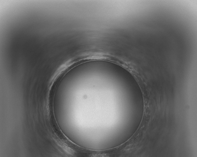 X0000068310296200604281742