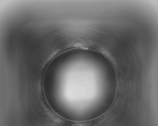 X0000068310297200604281742