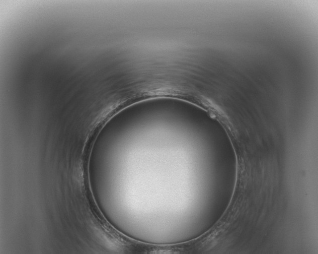 X0000068310298200604281742