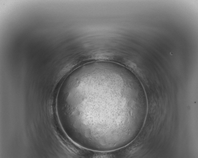 X0000068310299200604281742