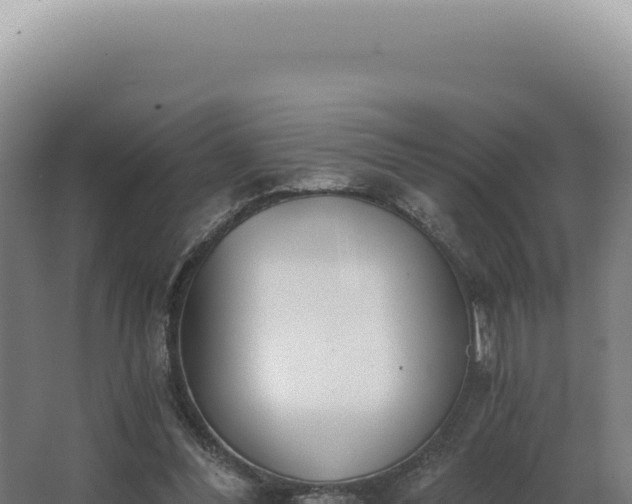 X0000068310300200604281742