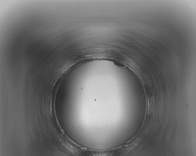 X0000068310301200604281742