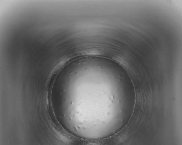 X0000068310302200604281742