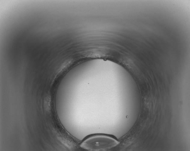 X0000068310304200604281742