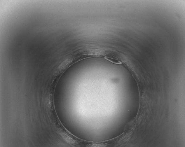 X0000068310305200604281742