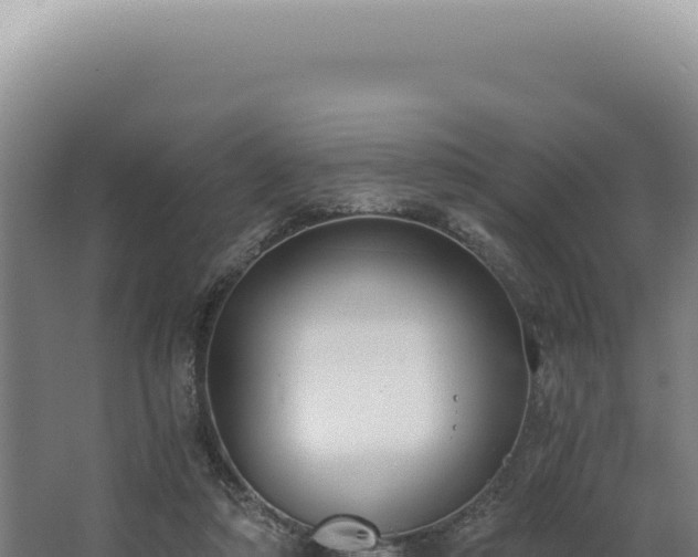 X0000068310306200604281742