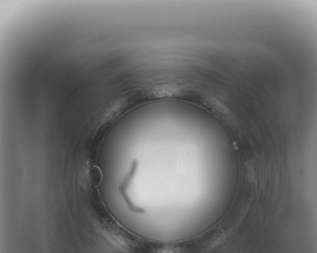 X0000068310308200604281742