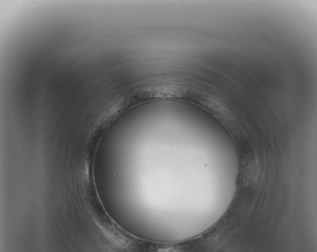 X0000068310310200604281742