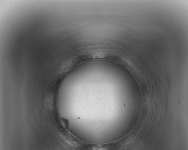 X0000068310311200604281742