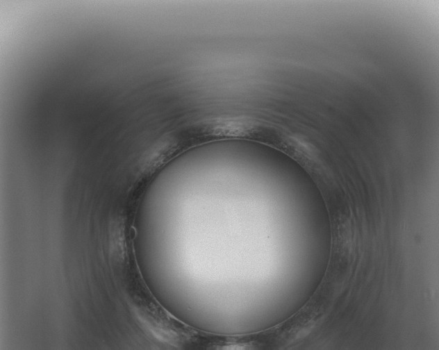 X0000068310312200604281742