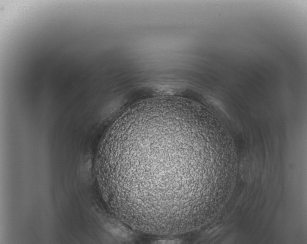 X0000068310314200604281742