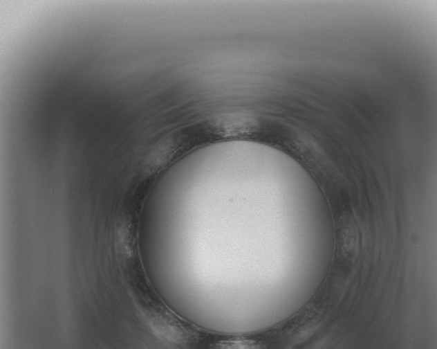 X0000068310316200604281742