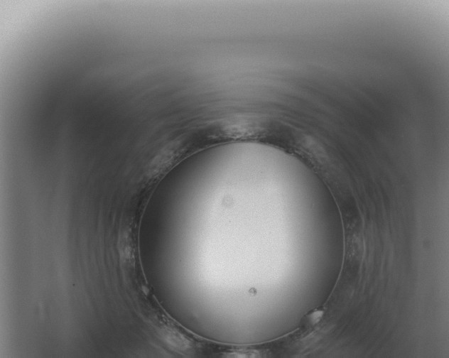 X0000068310317200604281742