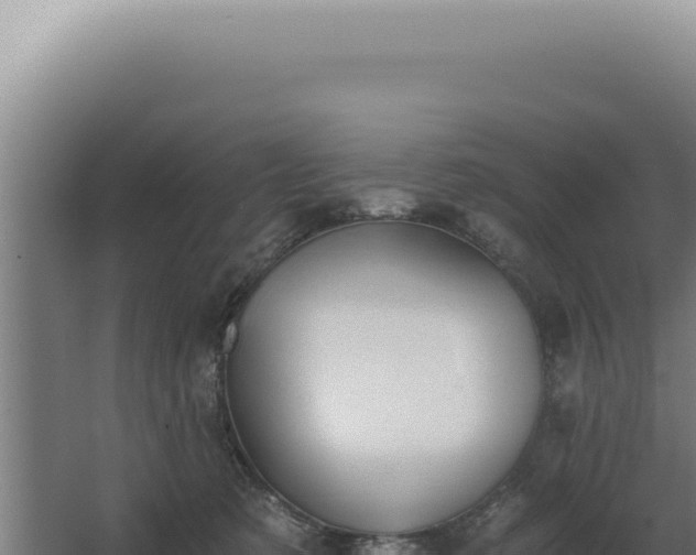 X0000068310321200604281742