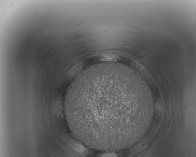 X0000068310322200604281742