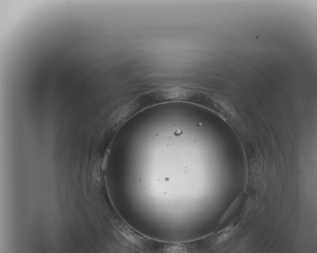 X0000068310325200604281742