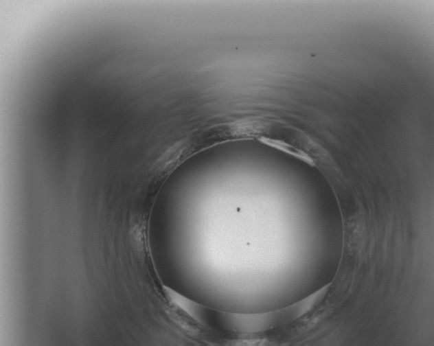 X0000068310329200604281742