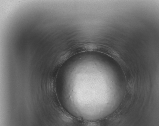 X0000068310330200604281742