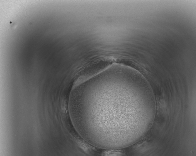 X0000068310331200604281742