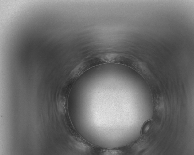 X0000068310332200604281742