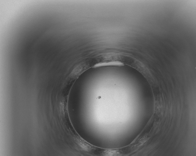 X0000068310333200604281742