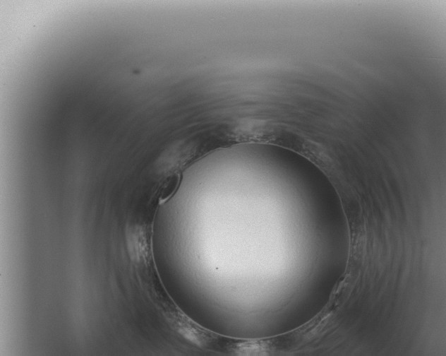 X0000068310335200604281742